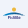 PIDILITIND